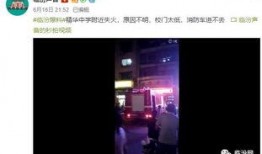 关于爆料视频,爆料视频背后的惊人内幕